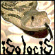 Isolocis