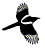 Magpie